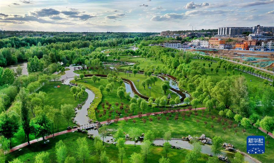 (新華全媒頭條·聚焦生物多樣性大會·圖文互動)(4)攜手同行,開啟人類高質量發展新征程——習近平主席在《生物多樣性公約》第十五次締約方大會領導人峰會上的主旨講話解讀