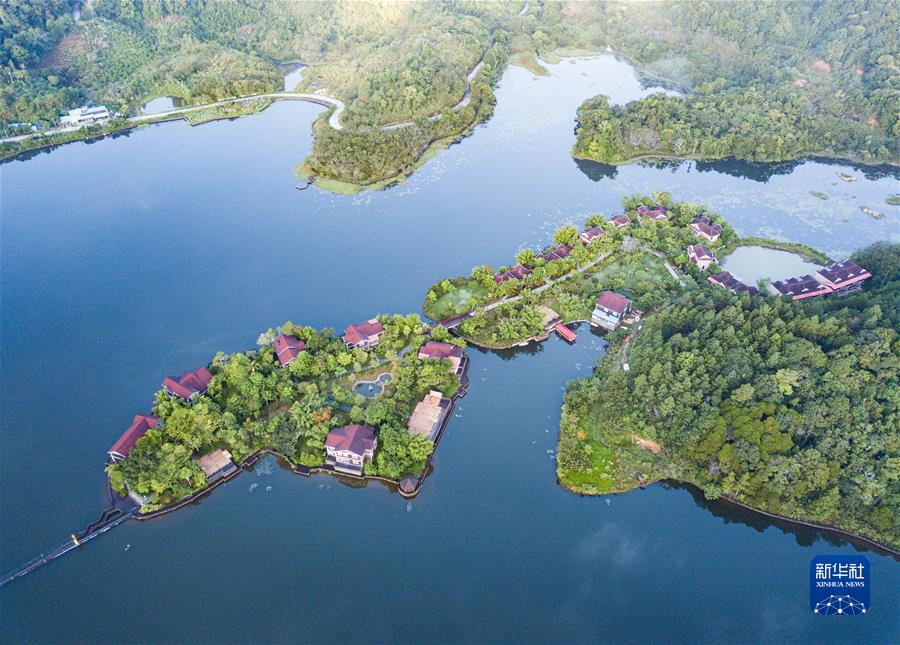 (新華全媒頭條·聚焦生物多樣性大會·圖文互動)(5)攜手同行,開啟人類高質量發展新征程——習近平主席在《生物多樣性公約》第十五次締約方大會領導人峰會上的主旨講話解讀