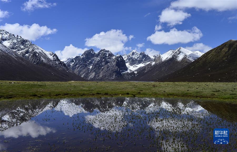 (新華全媒頭條·聚焦生物多樣性大會·圖文互動)(7)攜手同行,開啟人類高質量發展新征程——習近平主席在《生物多樣性公約》第十五次締約方大會領導人峰會上的主旨講話解讀